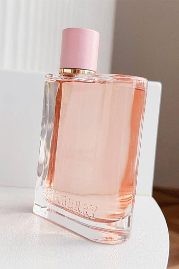 Парфюмерная вода Burberry Her (100 мл)   