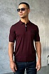 Мужское поло Stefano Ricci Eagle zip-neck - Burgundy