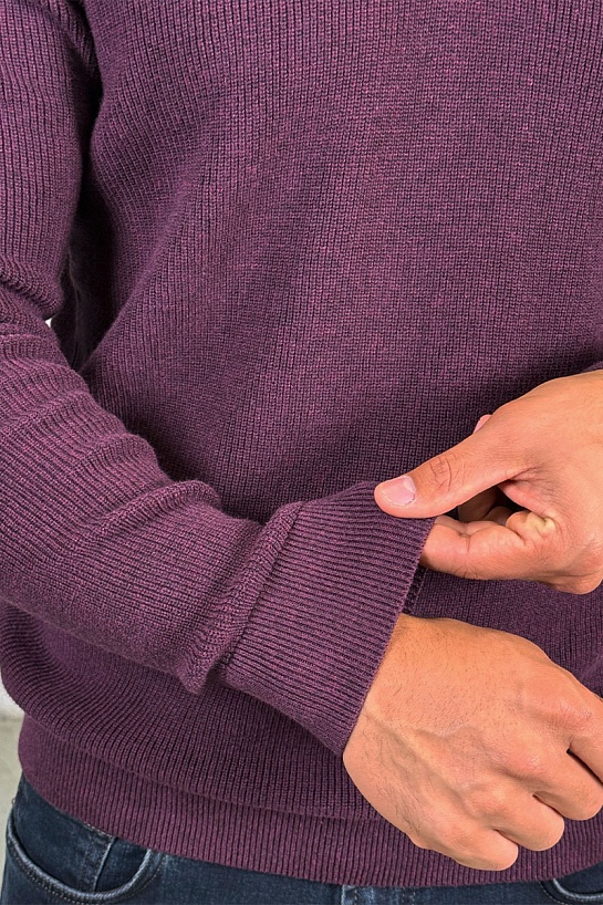 Мужской джемпер Paul & Shark zip-up - Purple