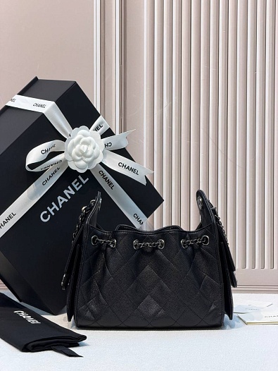 Кожаная сумка Chanel 25 Mini premium 20x22x12.5 см   