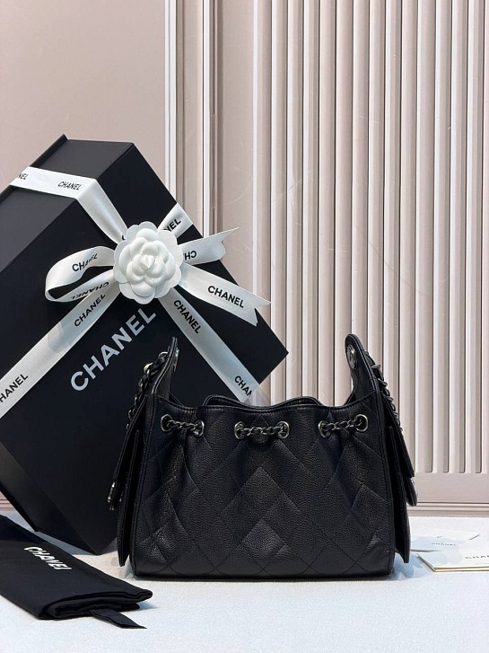 Кожаная сумка Chanel 25 Mini premium 20x22x12.5 см