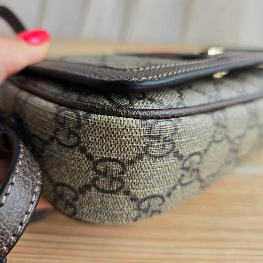 Сумка Gucci GG Ophidia Mini 20x12 см   
