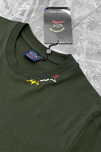 Мужская футболка Paul & Shark logo-patch - Green   