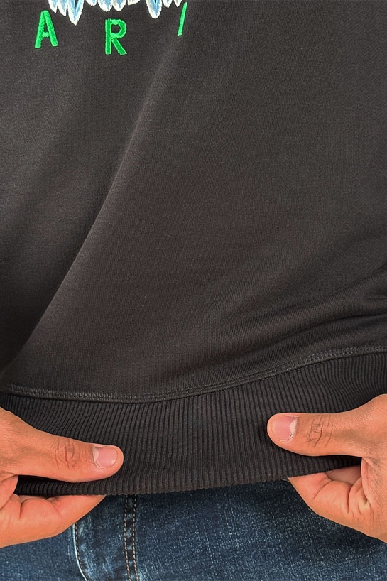 Свитшот чёрного цвета Kenzo Gradient Tiger