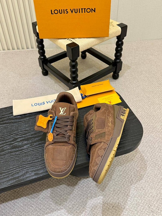 Мужские кроссовки Louis Vuitton Trainer - Brown