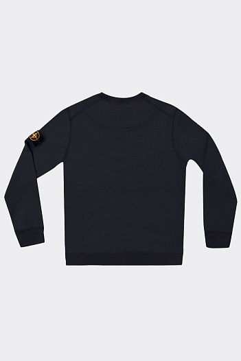 Мужской свитшот бирюзового цвета Stone Island Compass-patch   