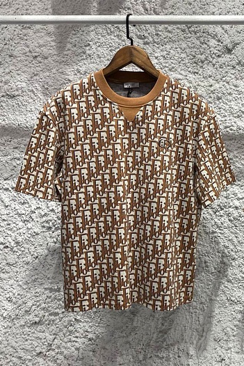 Мужская футболка Dior Oblique - Brown / White   