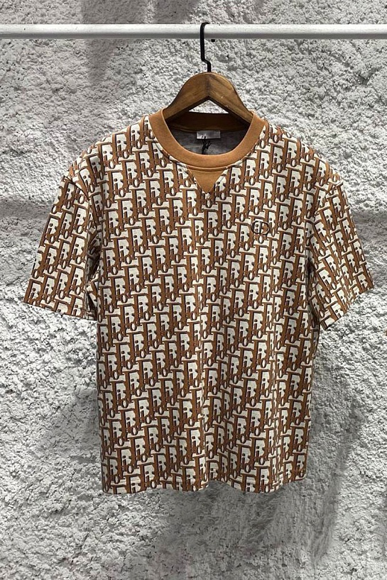 Мужская футболка Dior Oblique - Brown / White