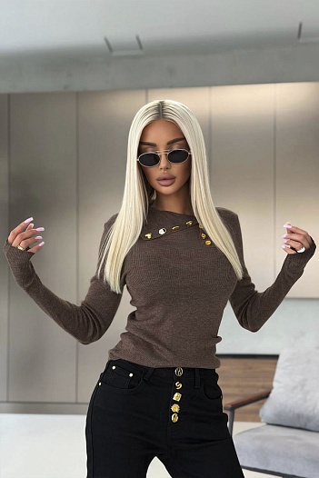 Женский трикотажный лонгслив Schiaparelli premium - Brown   