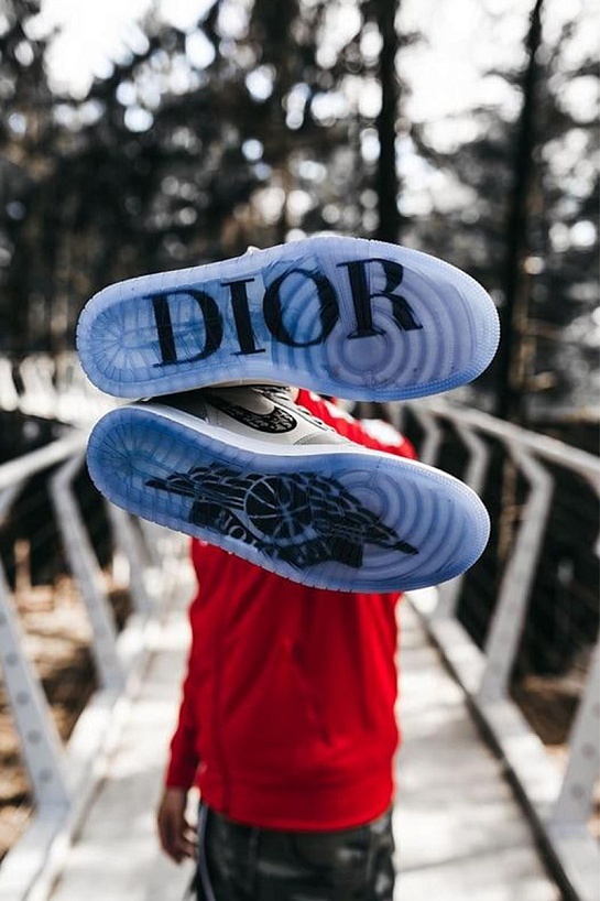 Кроссовки Dior x Nike Air Jordan 1 Retro High - White / Grey