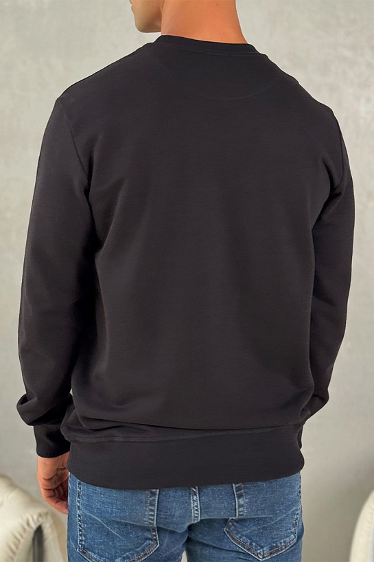 Свитшот чёрного цвета Kenzo Gradient Tiger