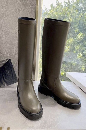 Женские кожаные сапоги Celine Premium   