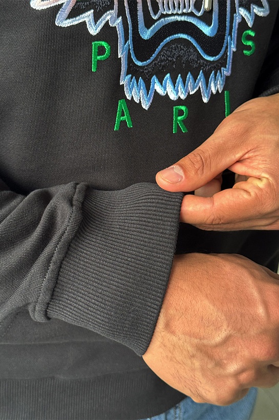 Мужское худи Kenzo Gradient Tiger logo-embroidered