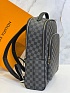 Кожаный рюкзак Louis Vuitton Damier Infini premium 40x31x15 см