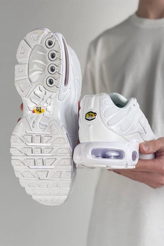 Кроссовки Nike Air Max Plus "Triple White"