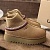 Женские замшевые ботинки UGG Tazz Platform - Chestnut