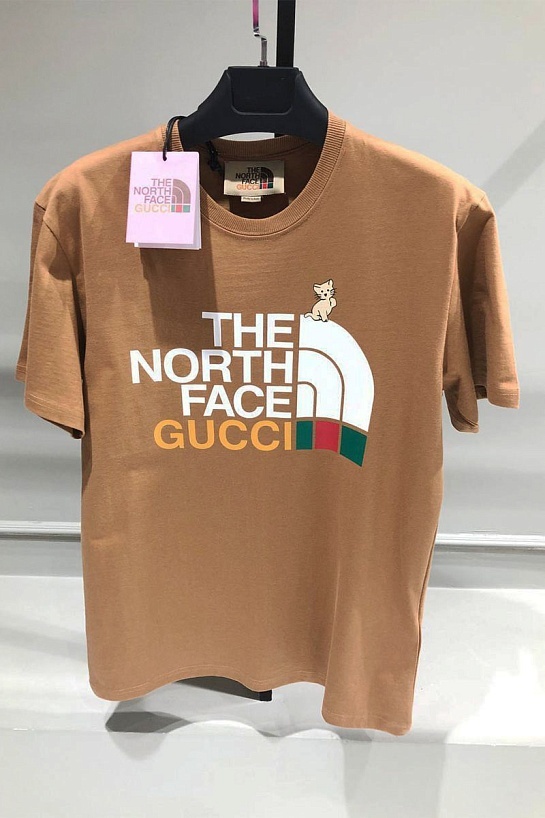 Коричневая оверсайз футболка Gucci x The North Face Collaboration
