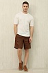 Льняные шорты коричневого цвета Zegna premium