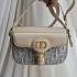 Комбинированная сумка Dior Montaigne Small 22x15 см