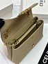 Женская сумка Celine Victorire Medium Premium 21x12x7 см - Brown