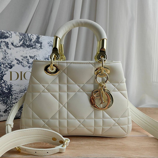 Женская сумка Christian Dior Lady D-Sire 25x18 см (6 расцветок)