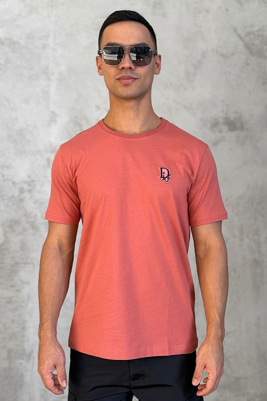 Тёмно-оранжевая мужская футболка Dior embroidered logo