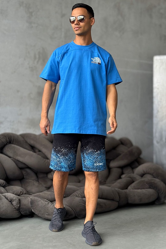 Оверсайз футболка Gucci x The North Face Collaboration landscape print - Blue