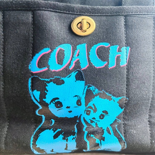Женская сумка Coach tote 34x24 см (2 расцветки)   