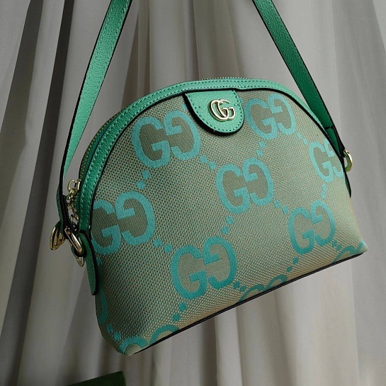 Сумка Gucci Ophidia Jumbo GG Small 24x18 см - Geen