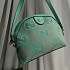 Сумка Gucci Ophidia Jumbo GG Small 24x18 см - Geen