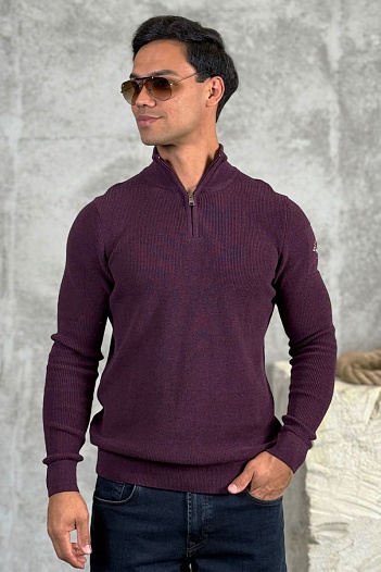 Мужской джемпер Paul & Shark zip-up - Purple   