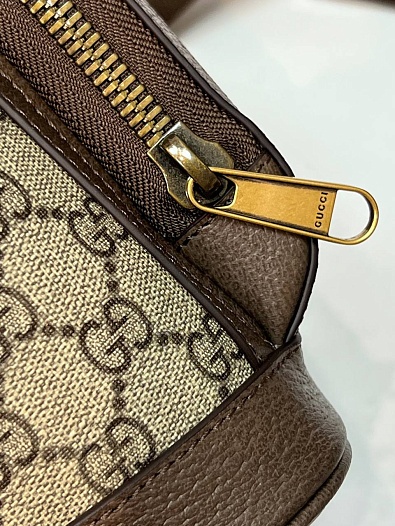 Рюкзак Gucci Ophidia GG Supreme Premium 28x22x10 см   