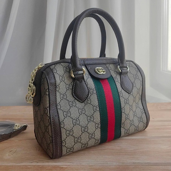 Сумка на плечо Gucci Ophidia GG 24x17 см