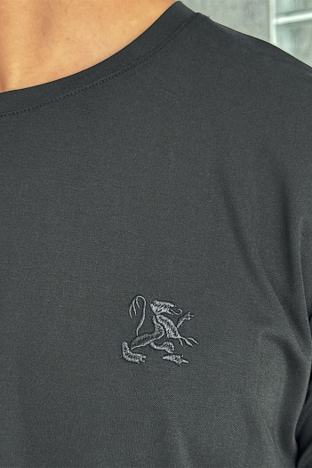 Мужская чёрная футболка Zilli   