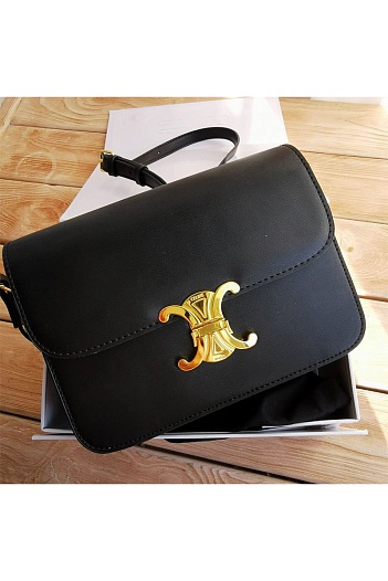 Кожаная сумка Celine Teen cuir Triomphe 22x16 см (3 расцветки)   