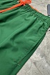 Мужские зелёные шорты Polo Ralph Lauren