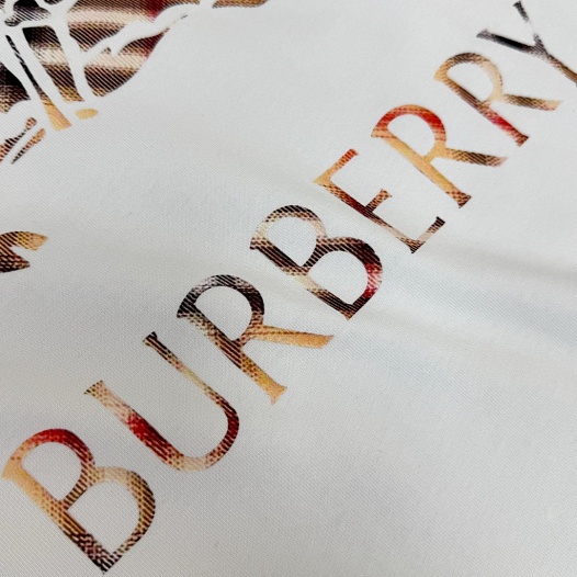 Мужская белая футболка Burberry premium   