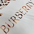 Мужская белая футболка Burberry premium