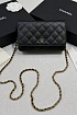 Кожаная сумка Chanel Wallet on Chain premium 19x12x4 см
