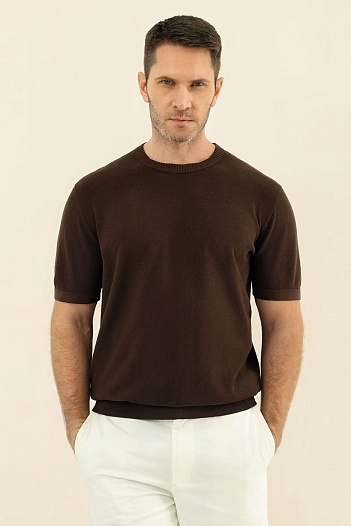 Мужская коричневая футболка Loro Piana premium   