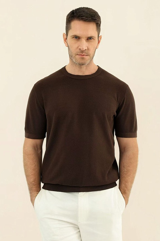 Мужская коричневая футболка Loro Piana premium
