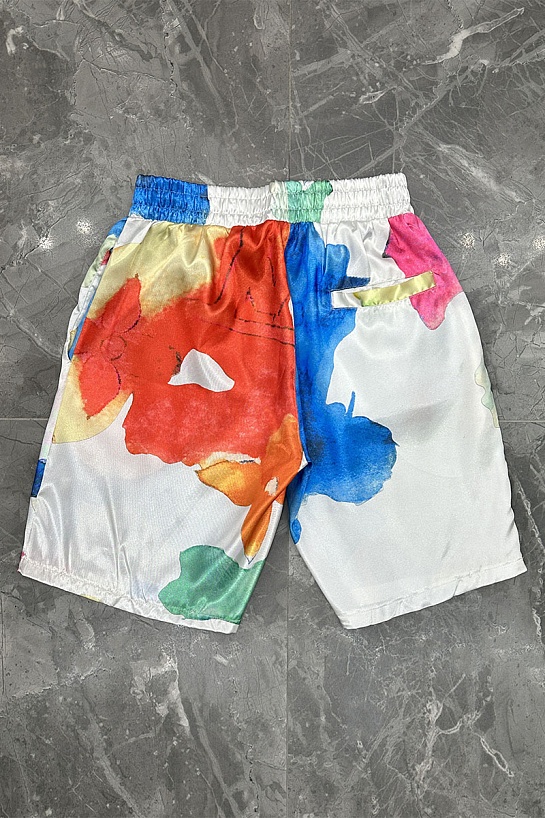 Мужские шорты Louis Vuitton Multicolor Monogram