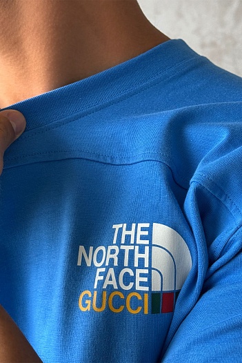 Оверсайз футболка Gucci x The North Face Collaboration landscape print - Blue   