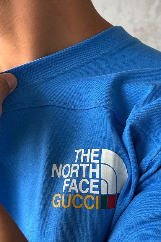 Оверсайз футболка Gucci x The North Face Collaboration landscape print - Blue