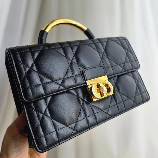 Кожаная сумка Dior Ange 23x16 см   