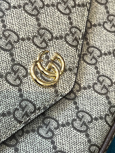 Сумка Gucci GG Ophidia pochette premium 22x13x4 см   