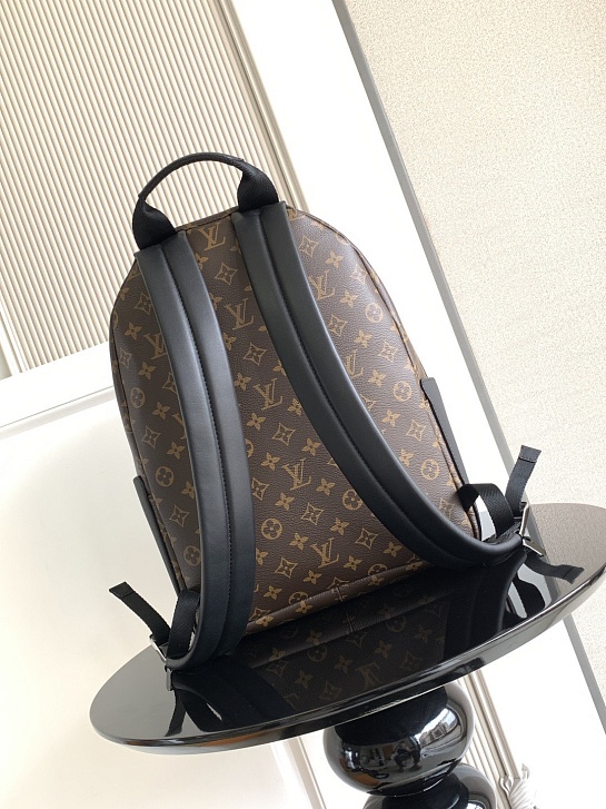 Кожаный рюкзак Louis Vuitton Palm Springs Premium 38x29x20 см
