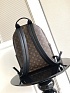 Кожаный рюкзак Louis Vuitton Palm Springs Premium 38x29x20 см