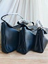 Женская сумка Balenciaga Rodeo 30x20 см (2 расцветки)