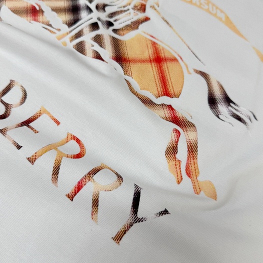 Мужская белая футболка Burberry premium   
